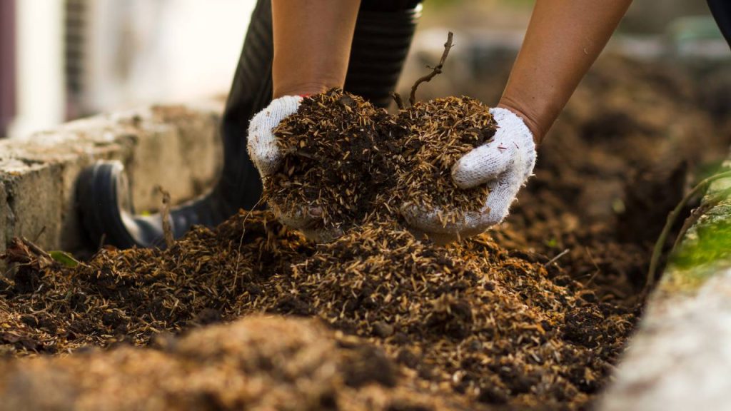 Preparando solo para horta pequena