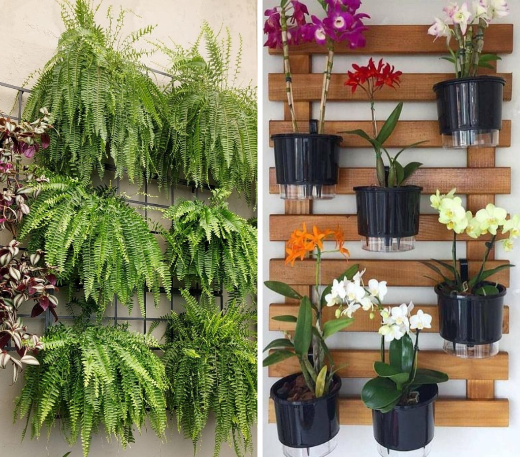 Plantas para o jardim interno