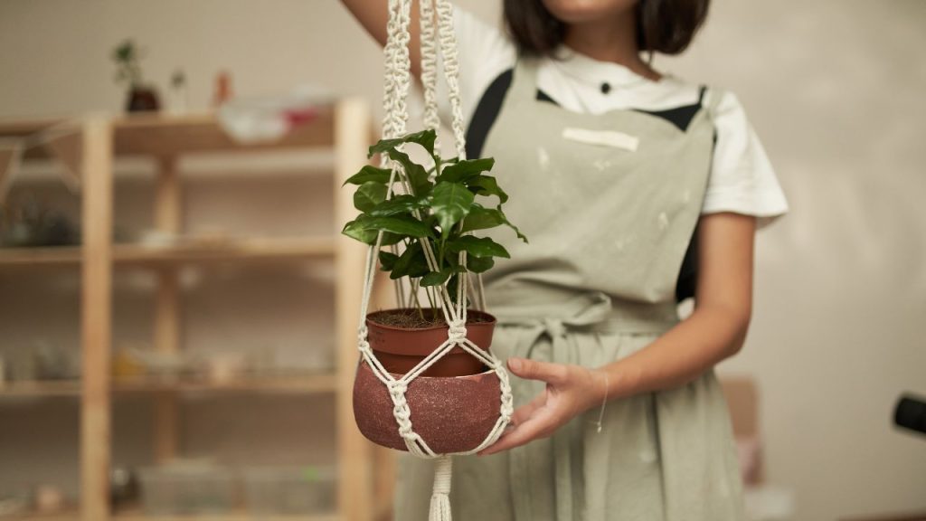 vaso cachepô para planta