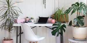 home office com plantas