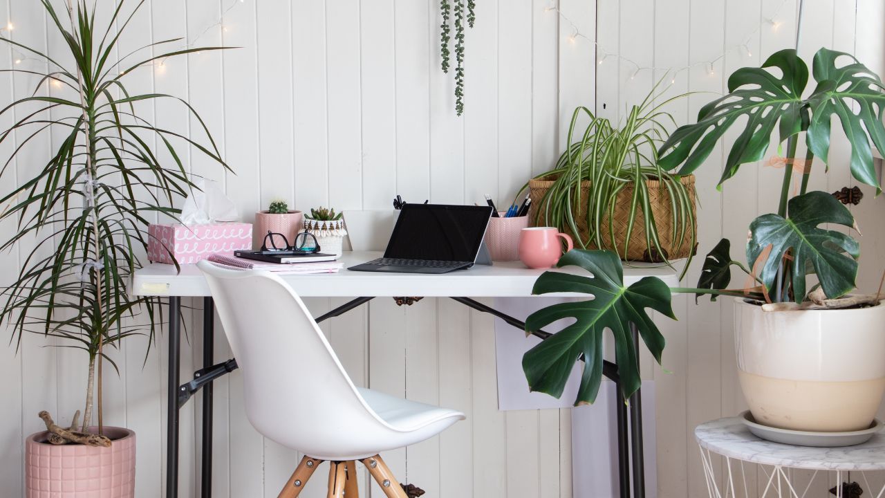 home office com plantas