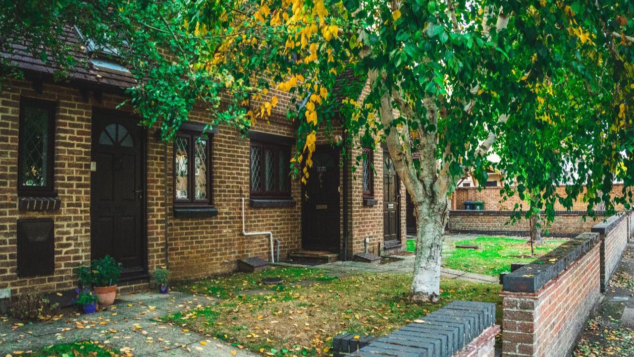 casa com árvore no quintal da frente