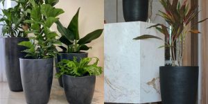 plantas em vasos grandes