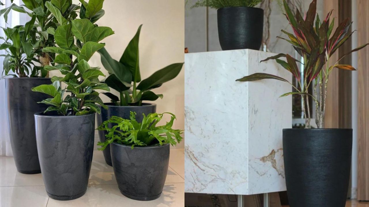 plantas em vasos grandes