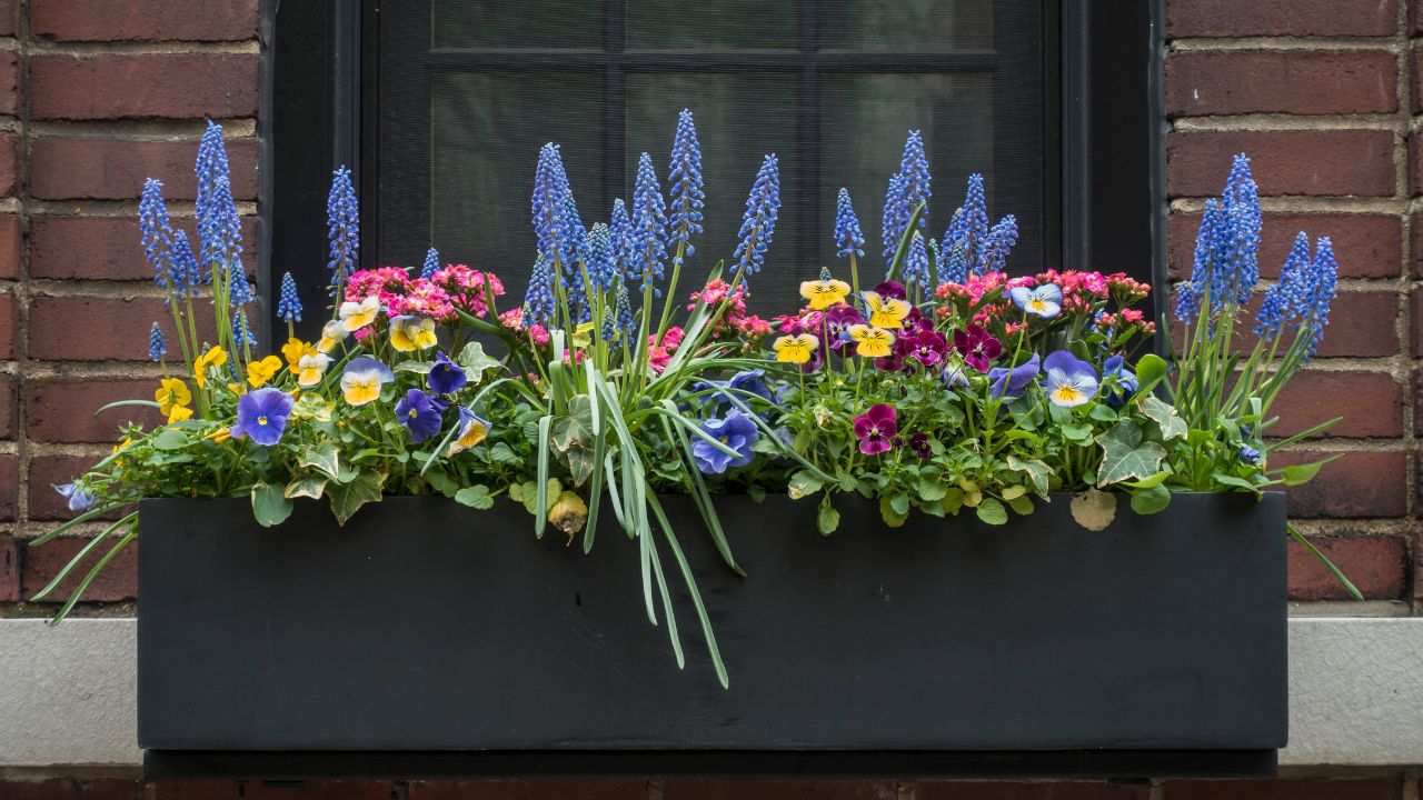 floreira com vários tipos de flores