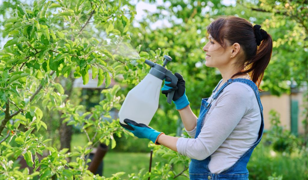 Como se livrar das Pragas em plantas