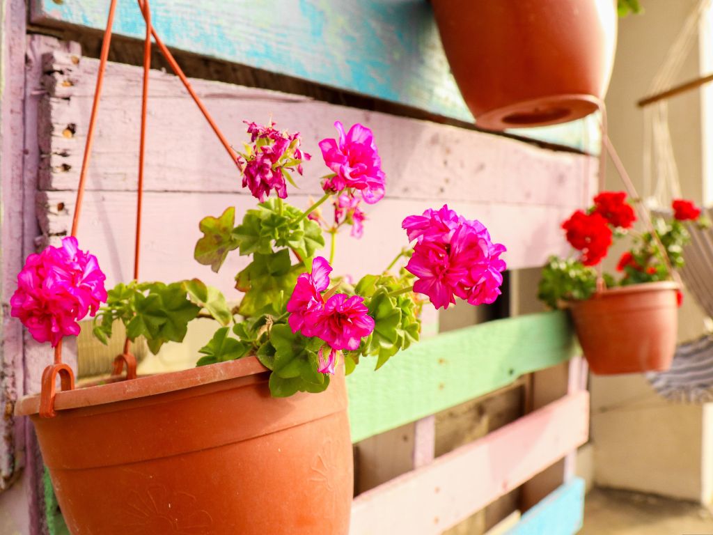 Jardim vertical de pallet em espaço pequeno